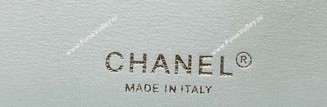 Chanel Wool Tweed Medium Classic Handbag A01112 White 2023 (jiyuan-23100902)