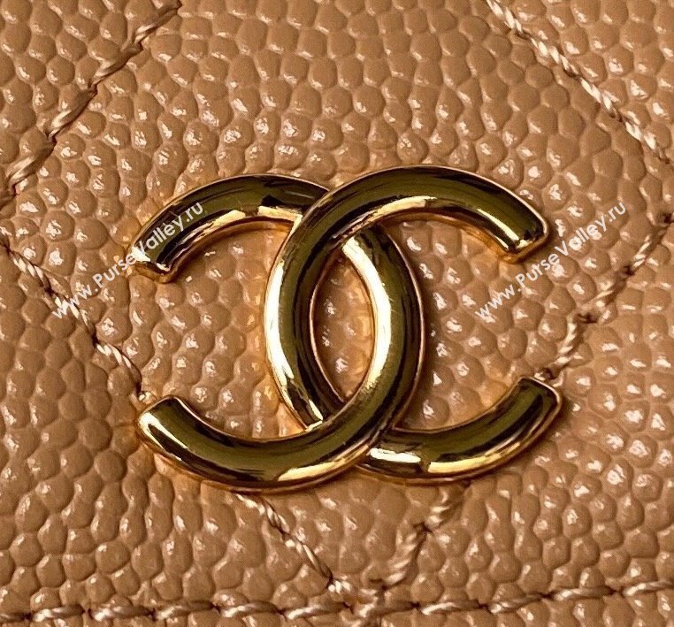 Chanel Grained Shiny Calfskin Clutch with Chain Bag AP3017 Brown 2023 (jiyuan-23101004)