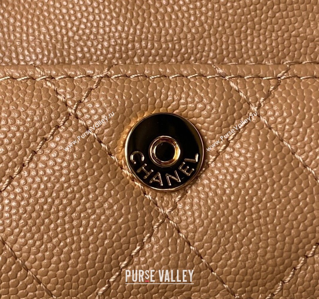 Chanel Grained Shiny Calfskin Clutch with Chain Bag AP3017 Brown 2023 (jiyuan-23101004)