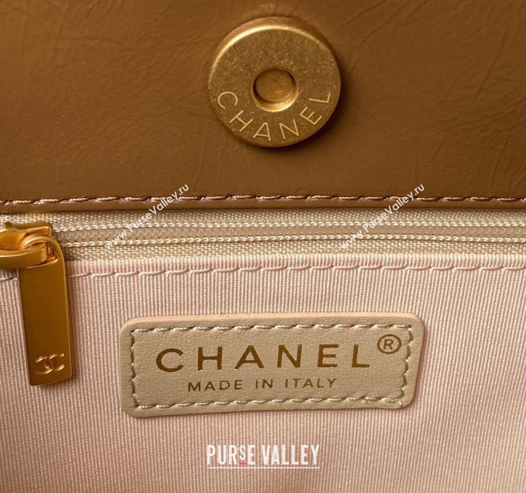 Chanel Shiny Crumpled Calfskin Hobo Handbag AS4322 Brown 2023 (jiyuan-23100954)