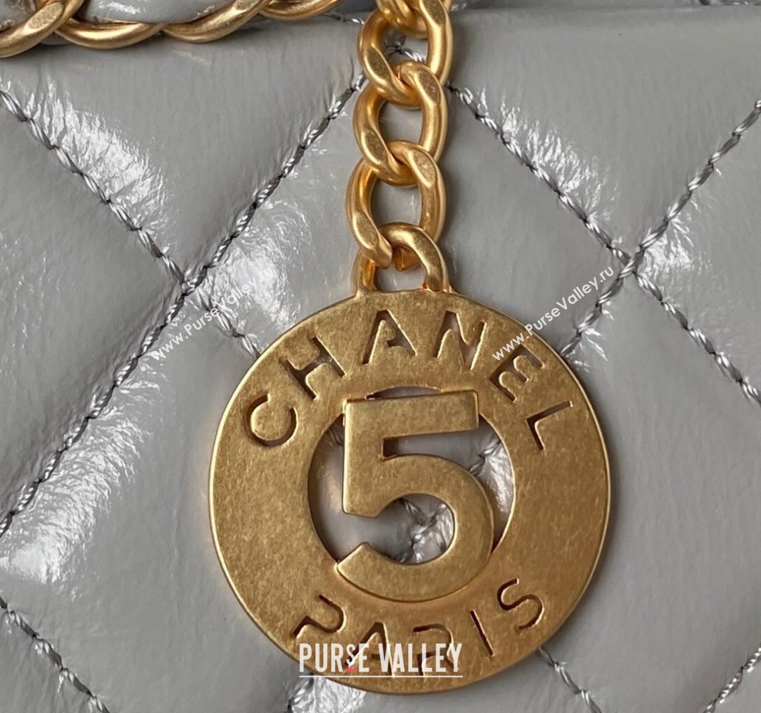 Chanel Shiny Crumpled Calfskin Hobo Handbag AS4322 Gray 2023 (jiyuan-23100955)