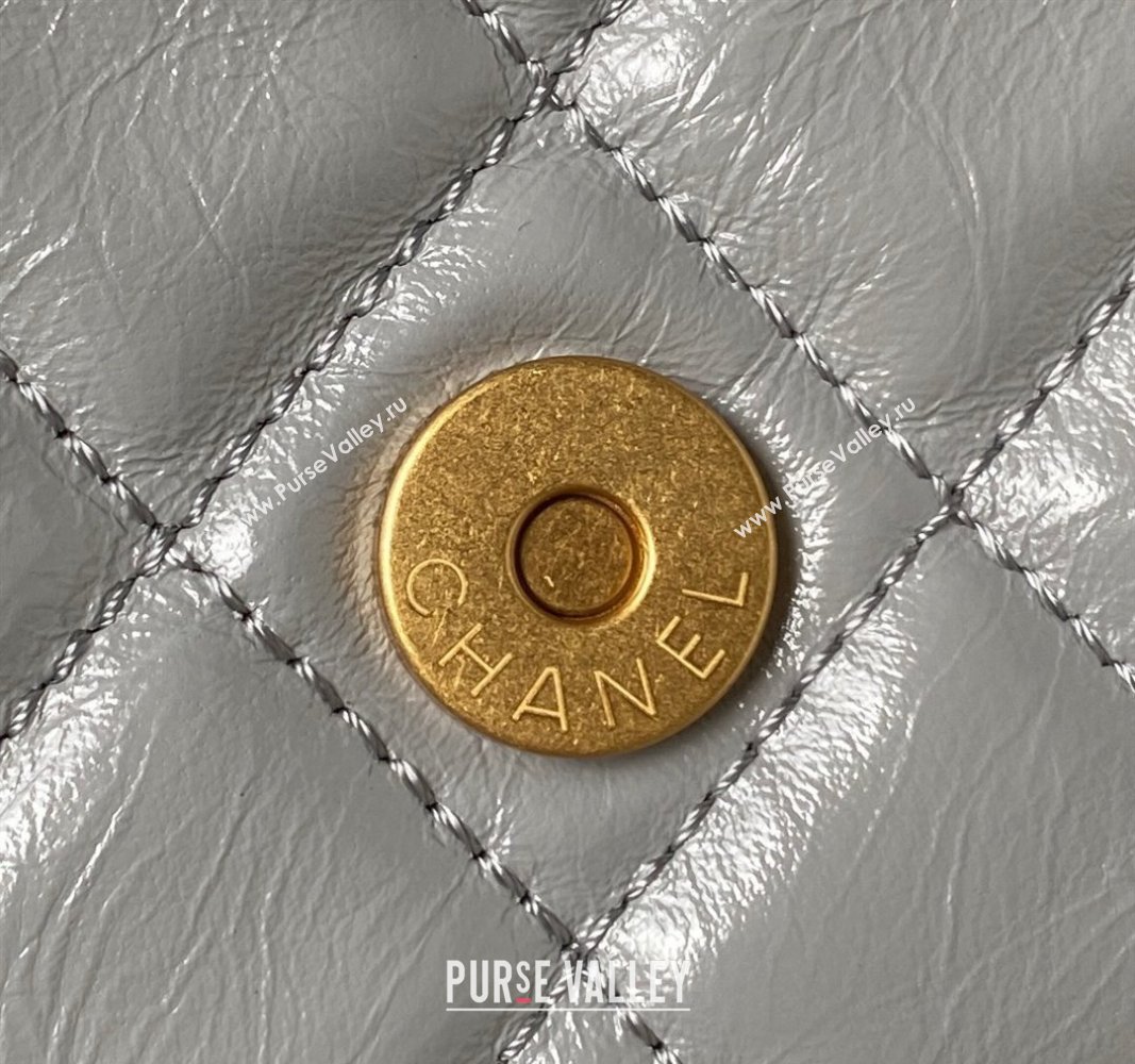 Chanel Shiny Crumpled Calfskin Hobo Handbag AS4322 Gray 2023 (jiyuan-23100955)