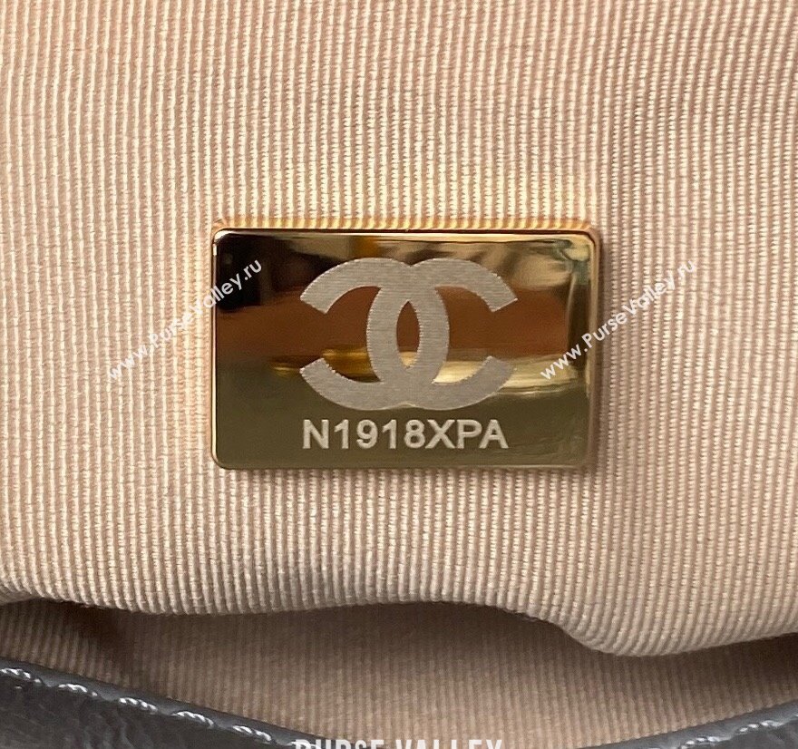 Chanel Shiny Crumpled Calfskin Hobo Handbag AS4322 Gray 2023 (jiyuan-23100955)