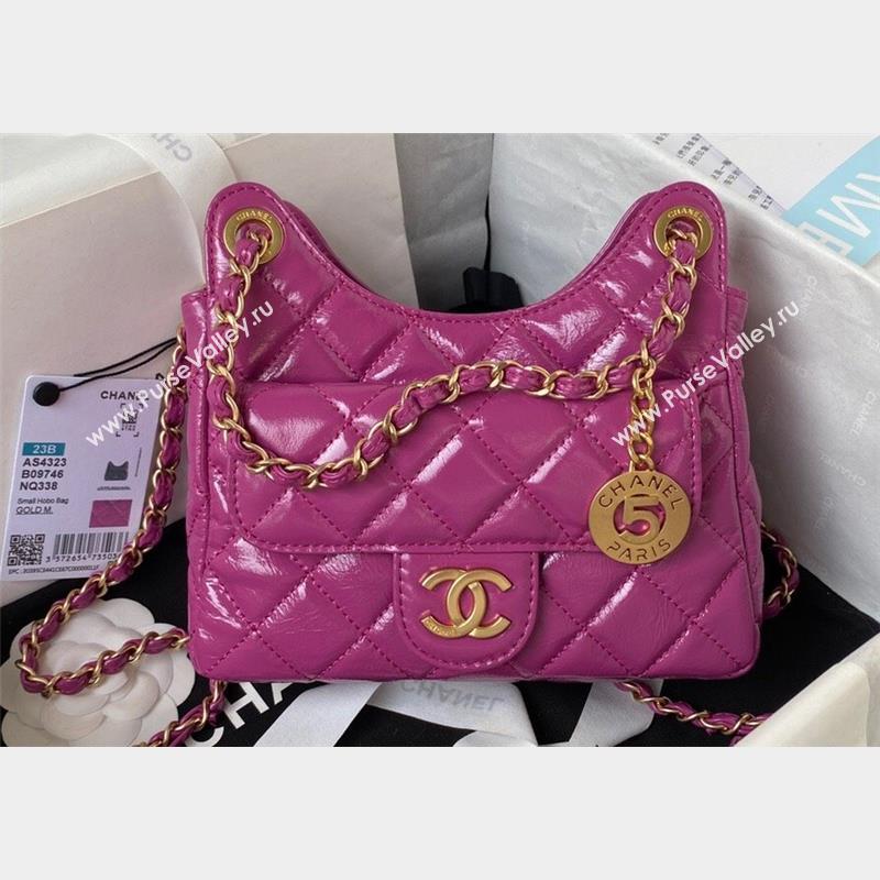 Chanel Shiny Crumpled Calfskin Small Hobo Bag AS4323 Purple 2023 (jiyuan-23100959)