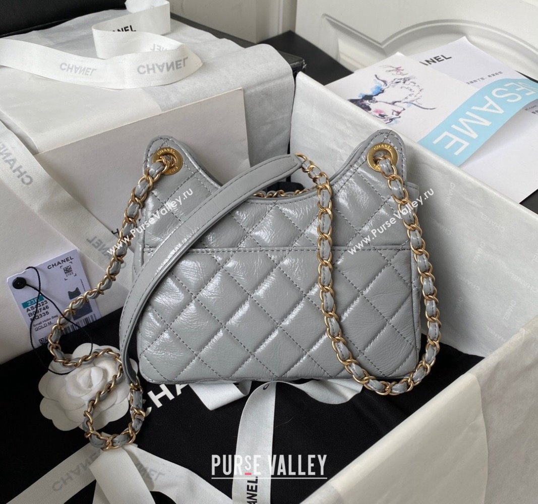 Chanel Shiny Crumpled Calfskin Small Hobo Bag AS4323 Gray 2023 (jiyuan-23100962)