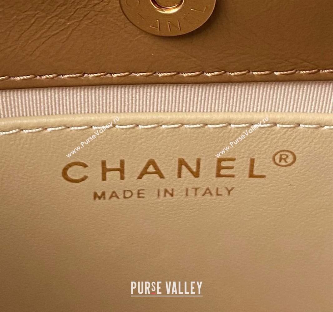 Chanel Shiny Crumpled Calfskin Small Hobo Bag AS4323 Brown 2023 (jiyuan-23100961)