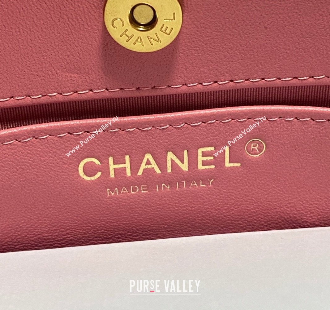 Chanel Velvet Small Hobo Bag AS4323 Pink 2023 (jiyuan-23100964)