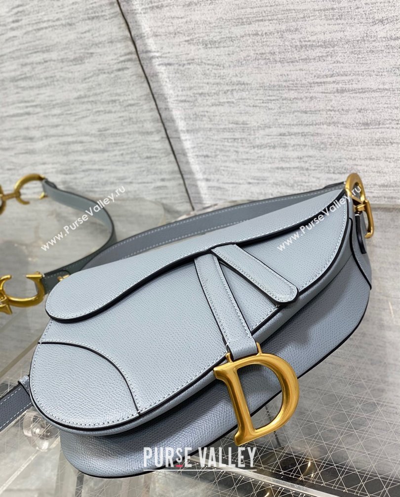 Dior Saddle Bag with Strap in Grained Calfskin Gray 2023 (bonika-23100708)