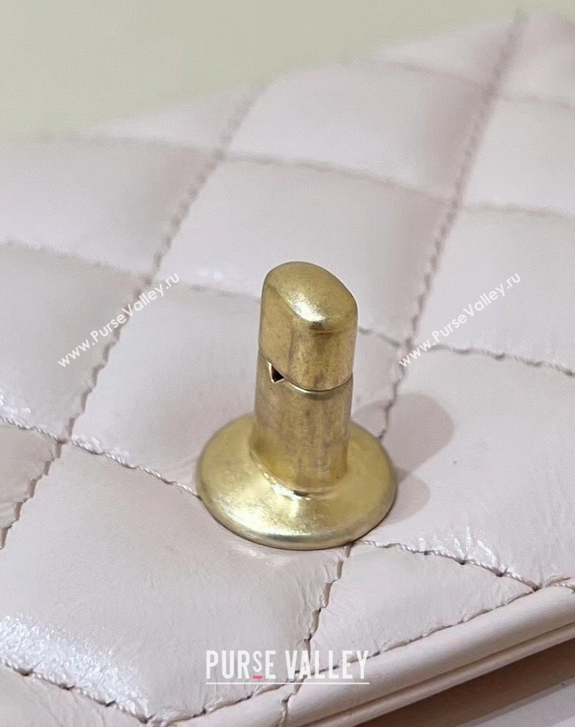 Chanel Shiny Aged Calfskin Clutch with Chain Bag AP3435 Light Pink 2023 (ORIGINAL QUALITY) (shunyang-23101016)