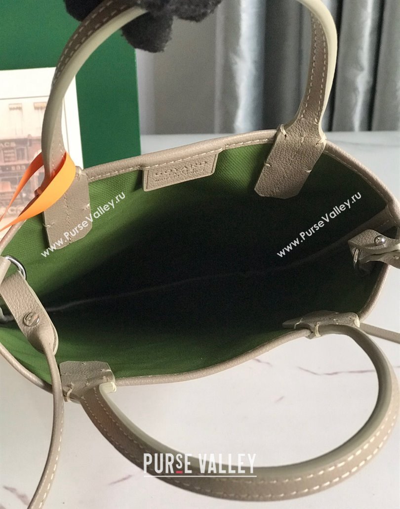 Goyard Poitiers Claire-Voie Mini Bag Green (xinyidai-23101426)