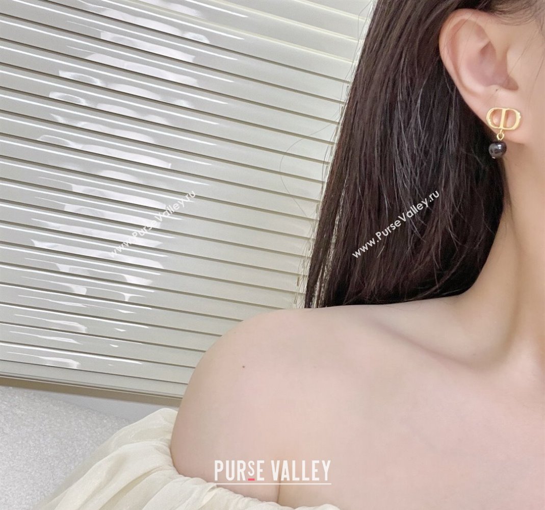 Dior Earrings 34 2023 (YF-231019d34)