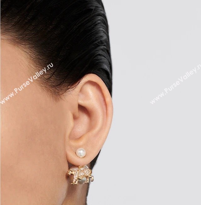 Dior Earrings 35 2023 (YF-231019d35)