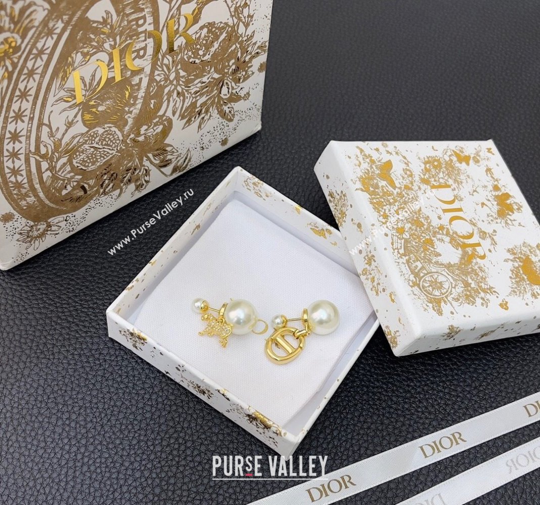 Dior Earrings 35 2023 (YF-231019d35)