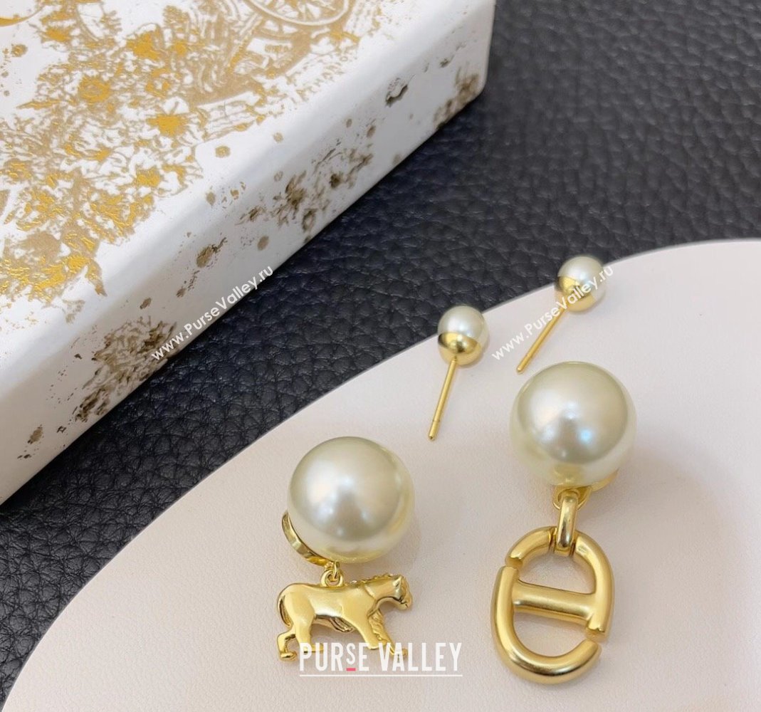 Dior Earrings 35 2023 (YF-231019d35)