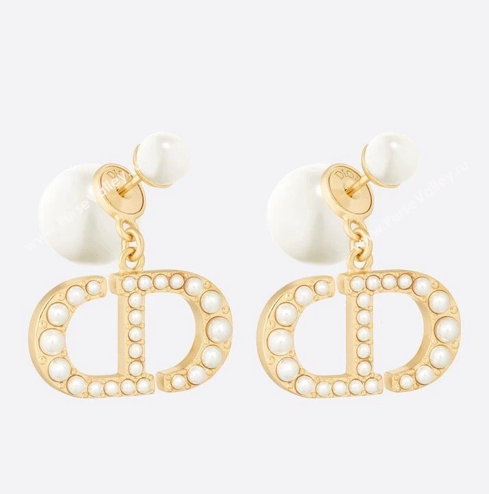 Dior Earrings 39 2023 (YF-231019d39)