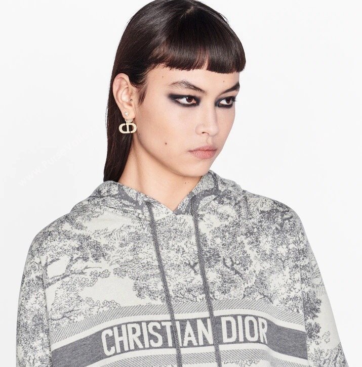 Dior Earrings 39 2023 (YF-231019d39)