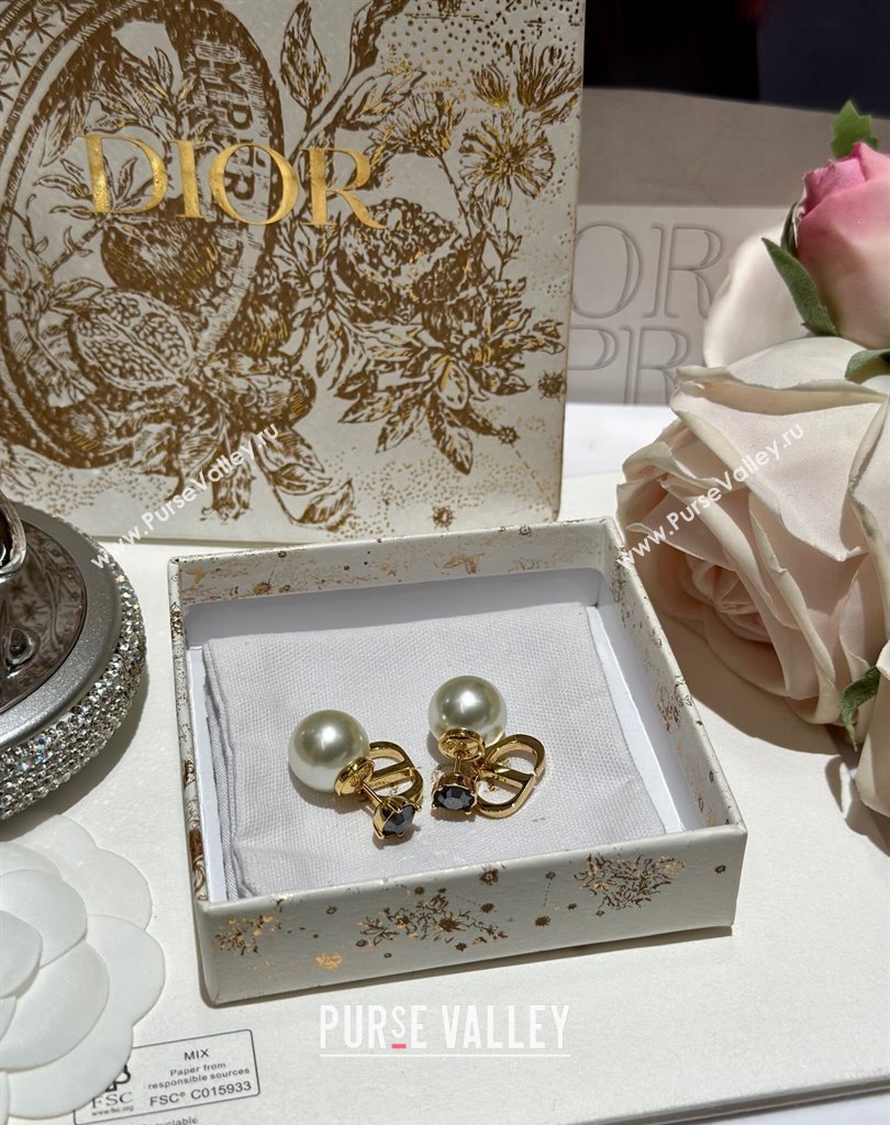 Dior Earrings 41 2023 (YF-231019d41)