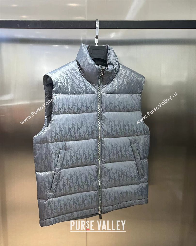 Dior Mens Puffer Down Vest 231025 02 2023 (huashun-231025d12)