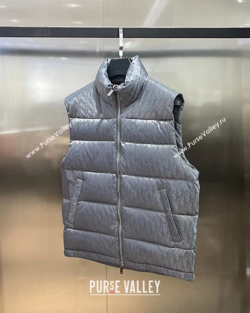 Dior Mens Puffer Down Vest 231025 02 2023 (huashun-231025d12)