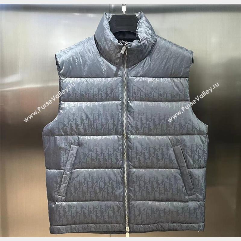 Dior Mens Puffer Down Vest 231025 02 2023 (huashun-231025d12)