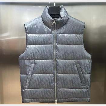 Dior Mens Puffer Down Vest 231025 02 2023 (huashun-231025d12)