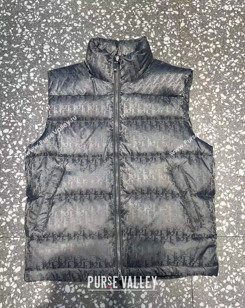Dior Mens Puffer Down Vest 231025 02 2023 (huashun-231025d12)