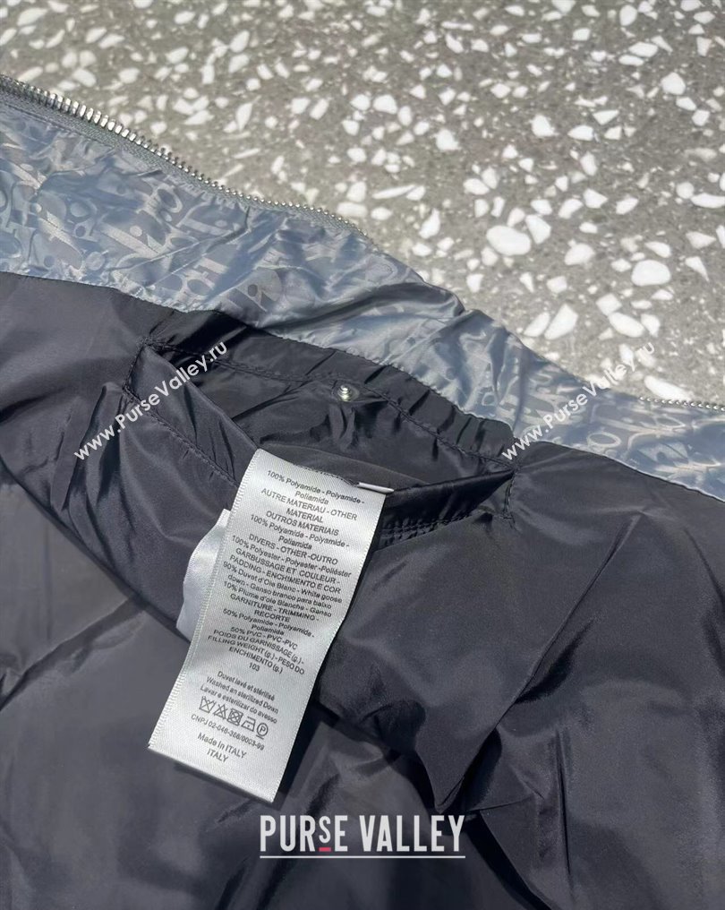 Dior Mens Puffer Down Vest 231025 02 2023 (huashun-231025d12)