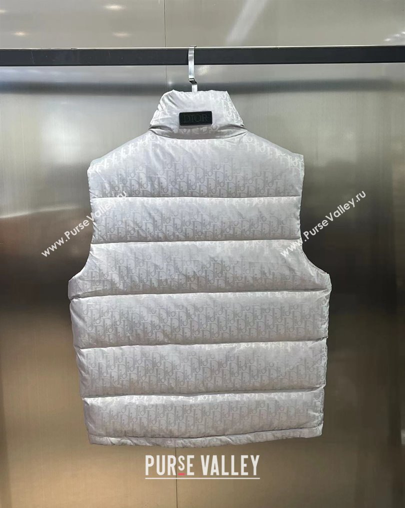 Dior Mens Puffer Down Vest 231025 03 2023 (huashun-231025d13)