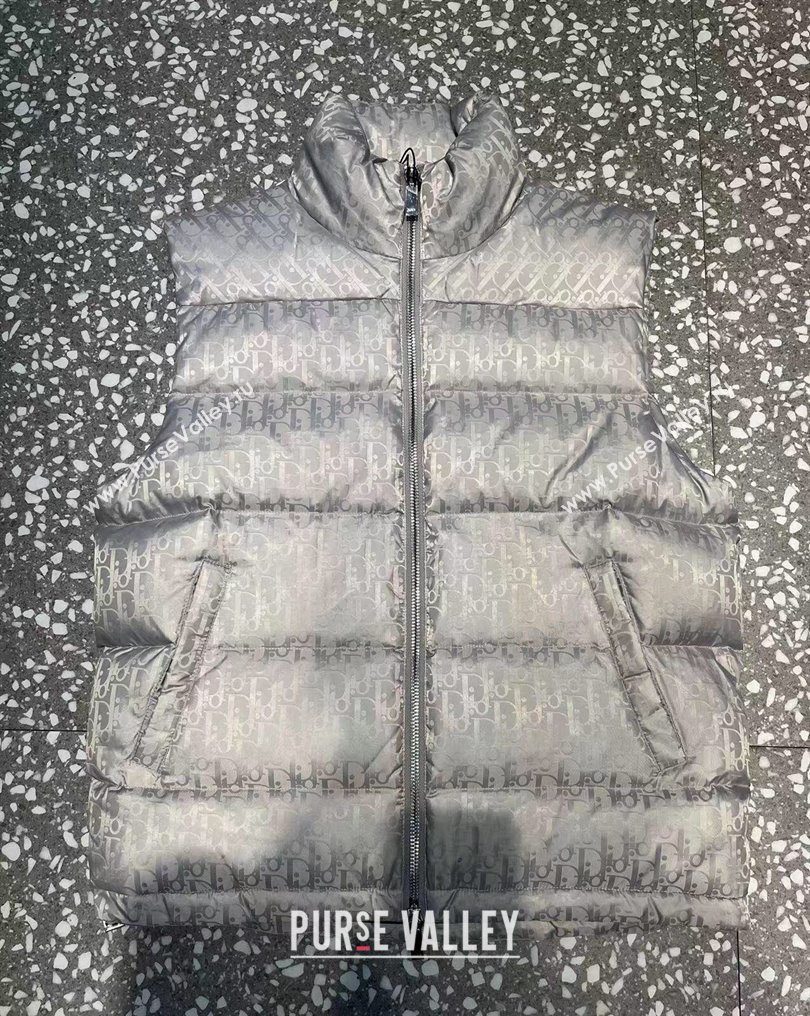 Dior Mens Puffer Down Vest 231025 03 2023 (huashun-231025d13)