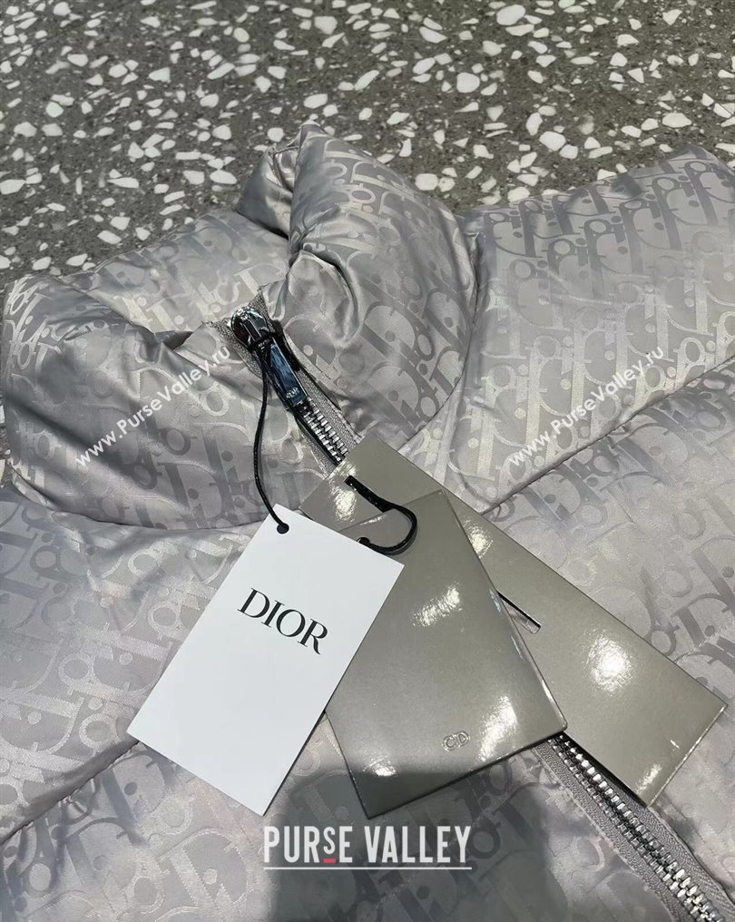 Dior Mens Puffer Down Vest 231025 03 2023 (huashun-231025d13)