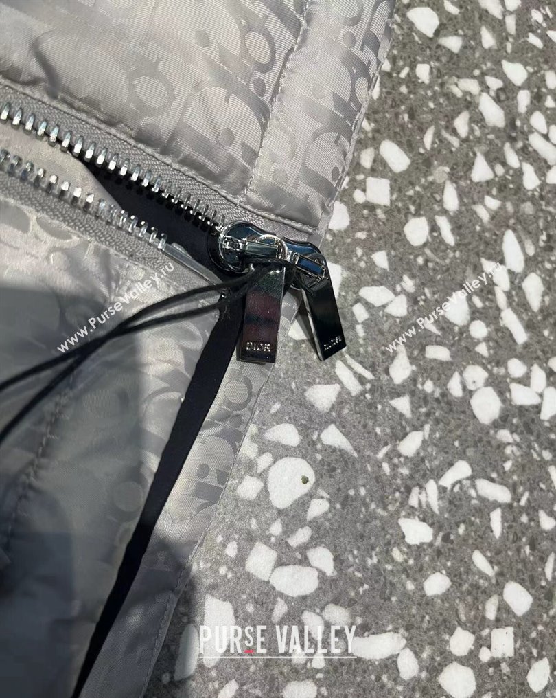 Dior Mens Puffer Down Vest 231025 03 2023 (huashun-231025d13)