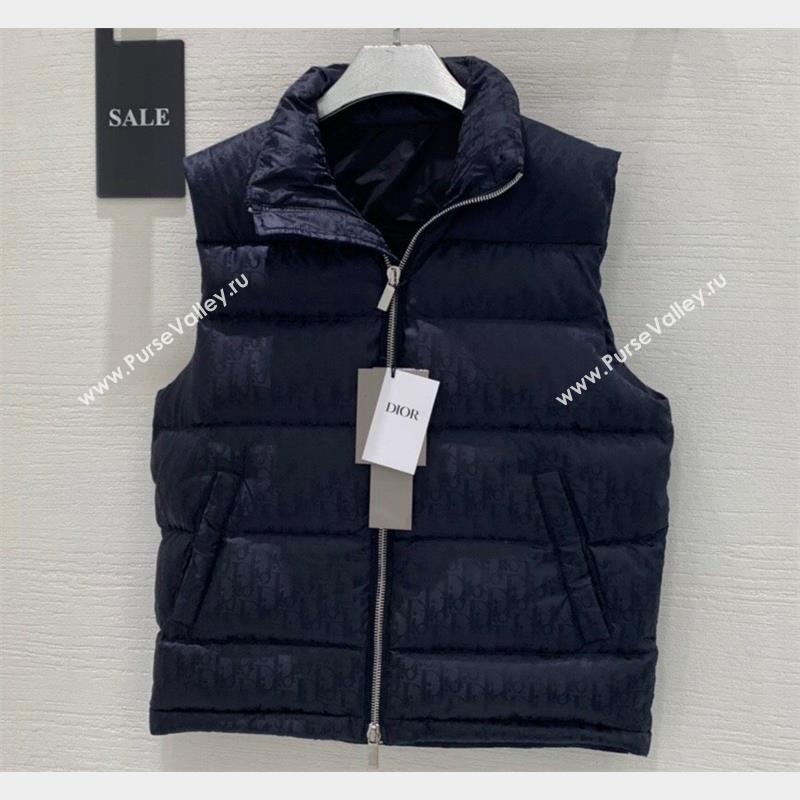 Dior Mens Puffer Down Vest 231025 01 2023 (huashun-231025d11)