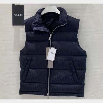 Dior Mens Puffer Down Vest 231025 01 2023 (huashun-231025d11)