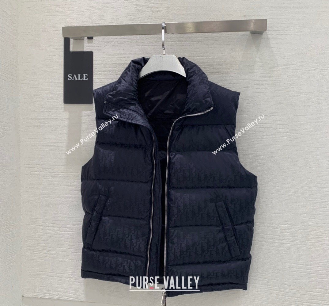 Dior Mens Puffer Down Vest 231025 01 2023 (huashun-231025d11)