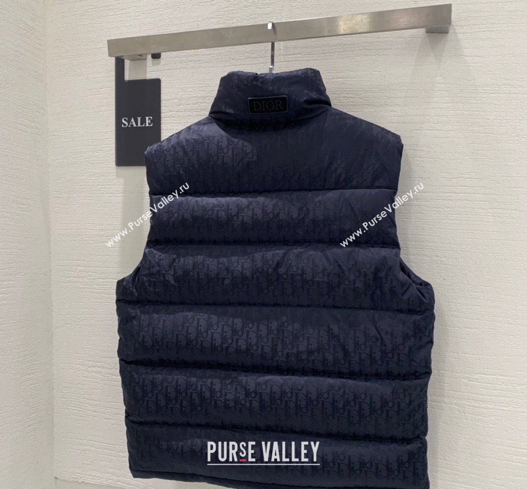 Dior Mens Puffer Down Vest 231025 01 2023 (huashun-231025d11)
