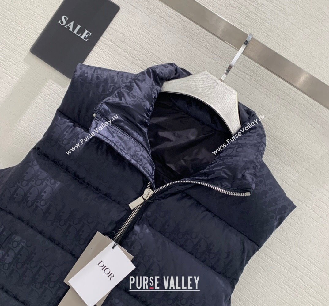 Dior Mens Puffer Down Vest 231025 01 2023 (huashun-231025d11)