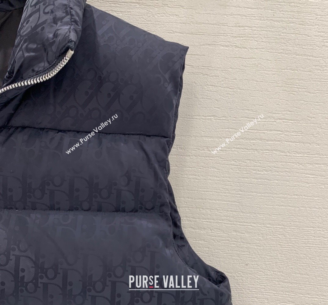 Dior Mens Puffer Down Vest 231025 01 2023 (huashun-231025d11)