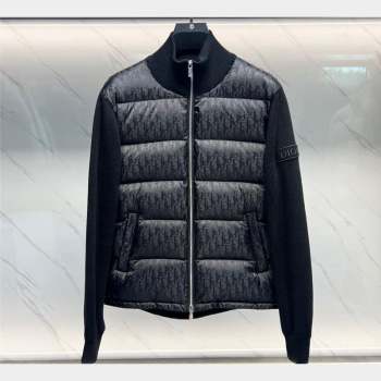 Dior Mens Puffer Down Jacket 231025 01 2023 (huashun-231025d01)