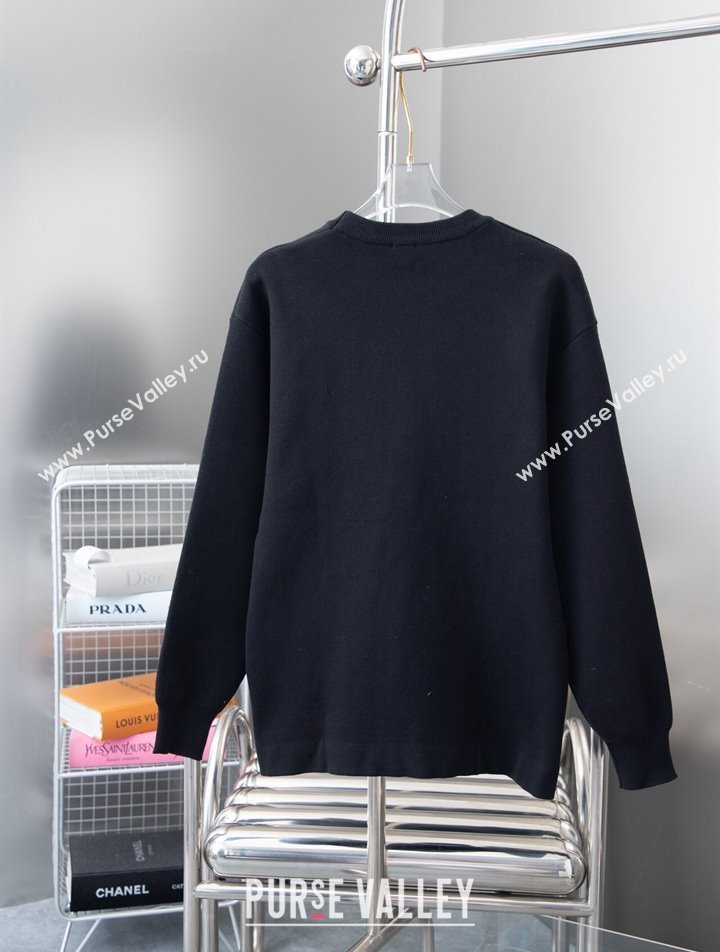 Loewe Mens Sweatshirt/Sweater 231025 01 2023 (huashun-231025d31)