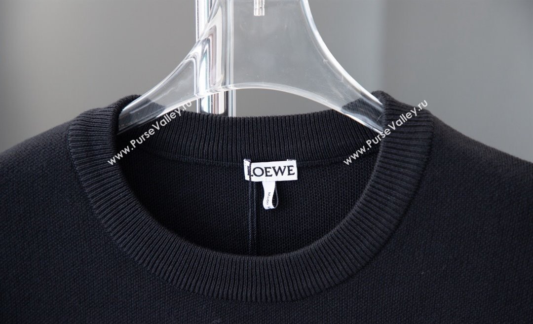 Loewe Mens Sweatshirt/Sweater 231025 01 2023 (huashun-231025d31)