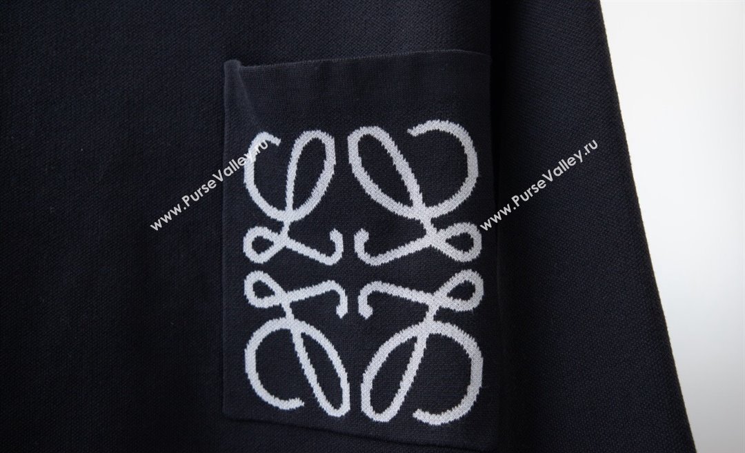 Loewe Mens Sweatshirt/Sweater 231025 01 2023 (huashun-231025d31)