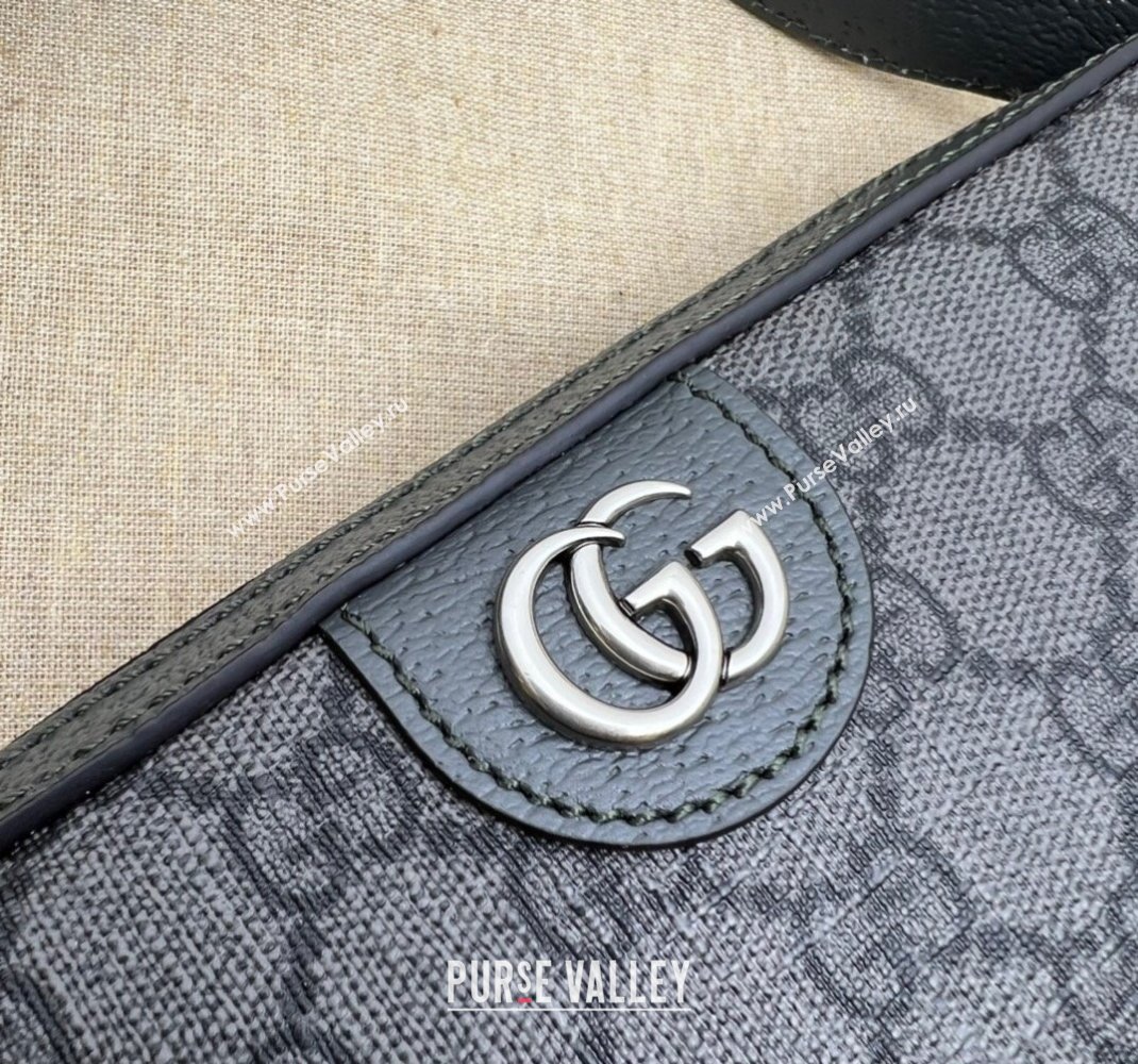 Gucci Ophidia GG crossbody bag 699439 Gray 2024 (dlh-23112423)