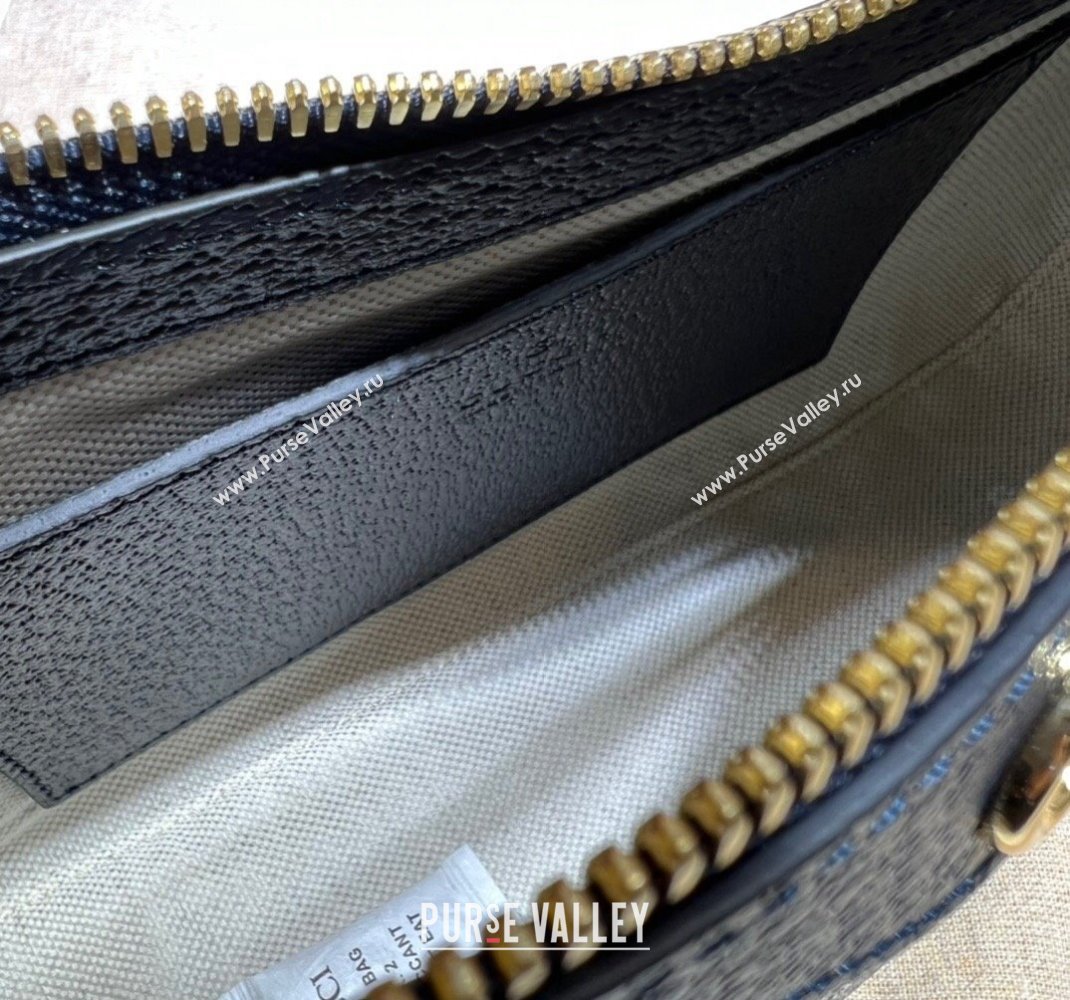 Gucci Ophidia GG small handbag 735145 Beige/Blue 2024 (dlh-23112419)