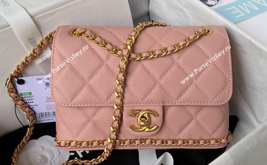 Chanel Grained Calfskin & Gold-Tone Metal Chain Flap Bag AS4431 Pink 2023 (jiyuan-23111709)
