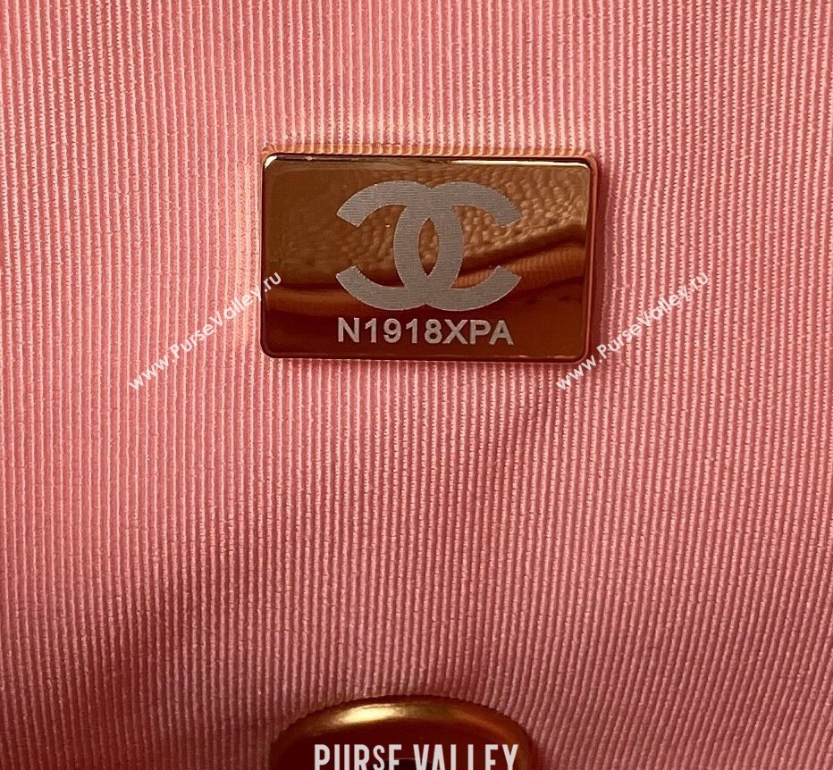 Chanel Grained Calfskin & Gold-Tone Metal Chain Flap Bag AS4431 Pink 2023 (jiyuan-23111709)