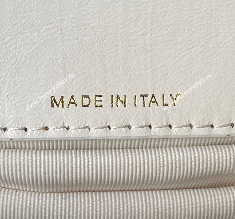 Chanel Crinkled Calfskin Clutch with Chain Bag AP3570 White 2023 (jiyuan-23111720)