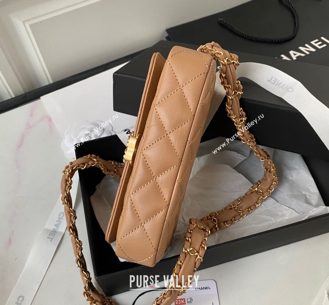 Chanel Crinkled Calfskin Clutch with Chain Bag AP3570 Brown 2023 (jiyuan-23111722)