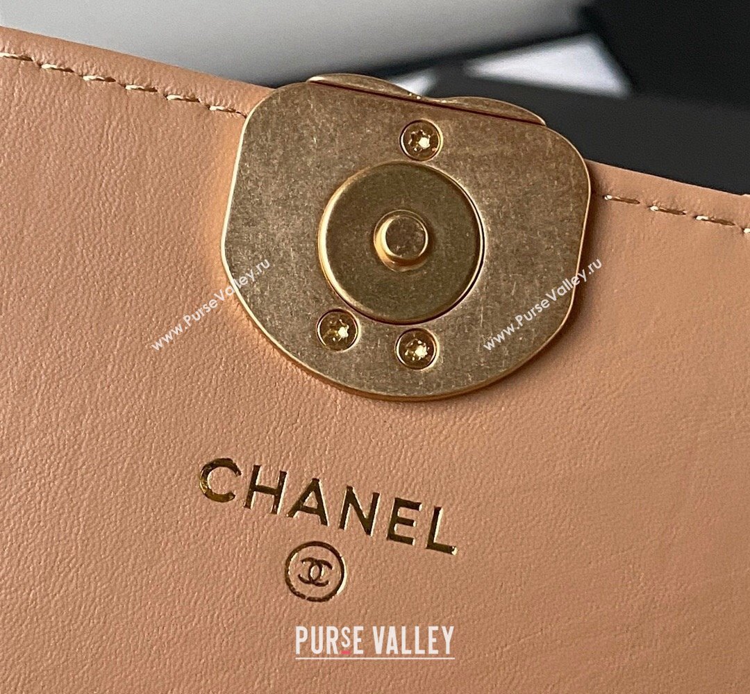 Chanel Crinkled Calfskin Clutch with Chain Bag AP3570 Brown 2023 (jiyuan-23111722)