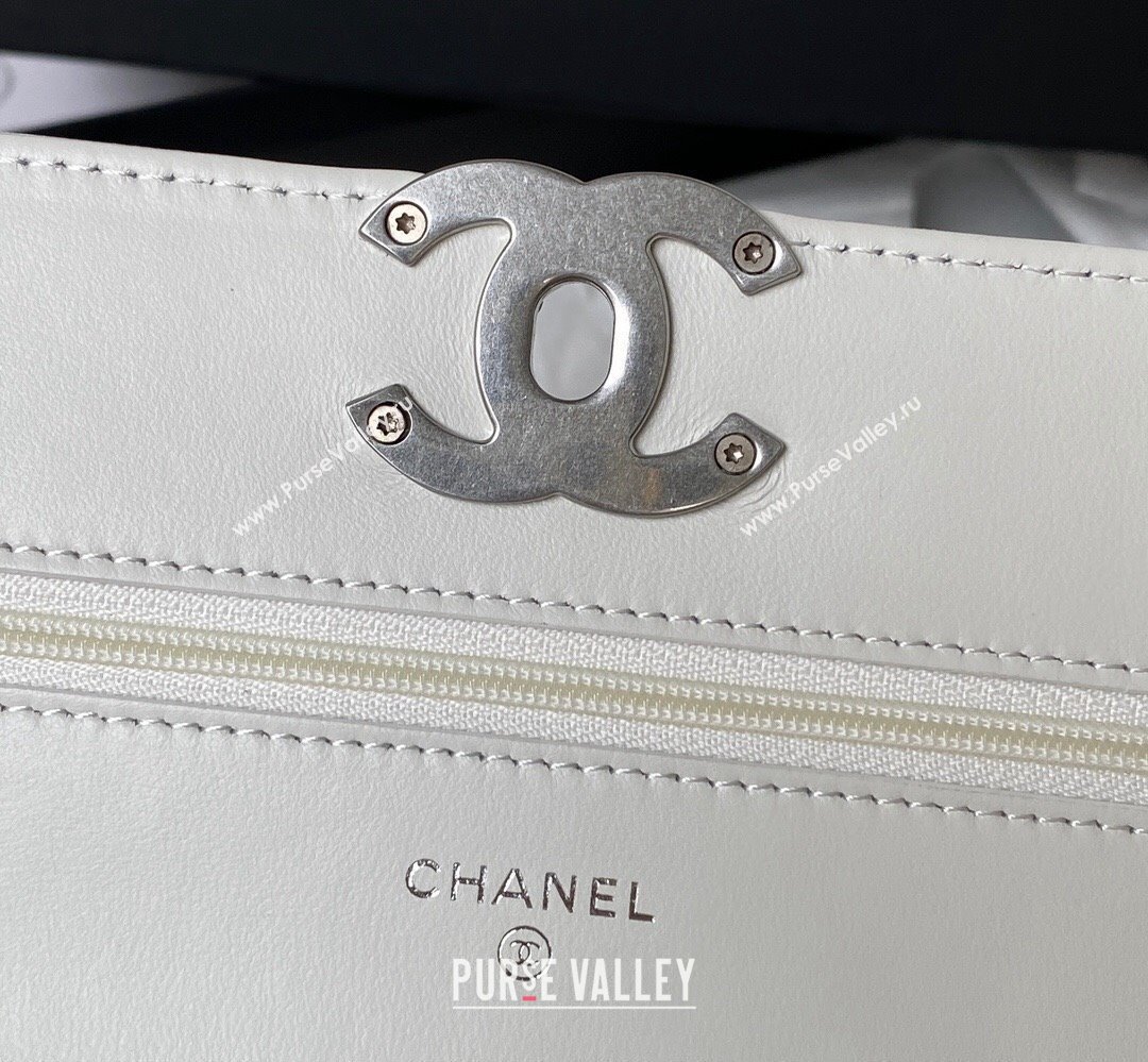 Chanel 19 Shiny Lambskin Wallet On Chain WOC Bag AP3267 White/Silver 2023 (jiyuan-23111727)