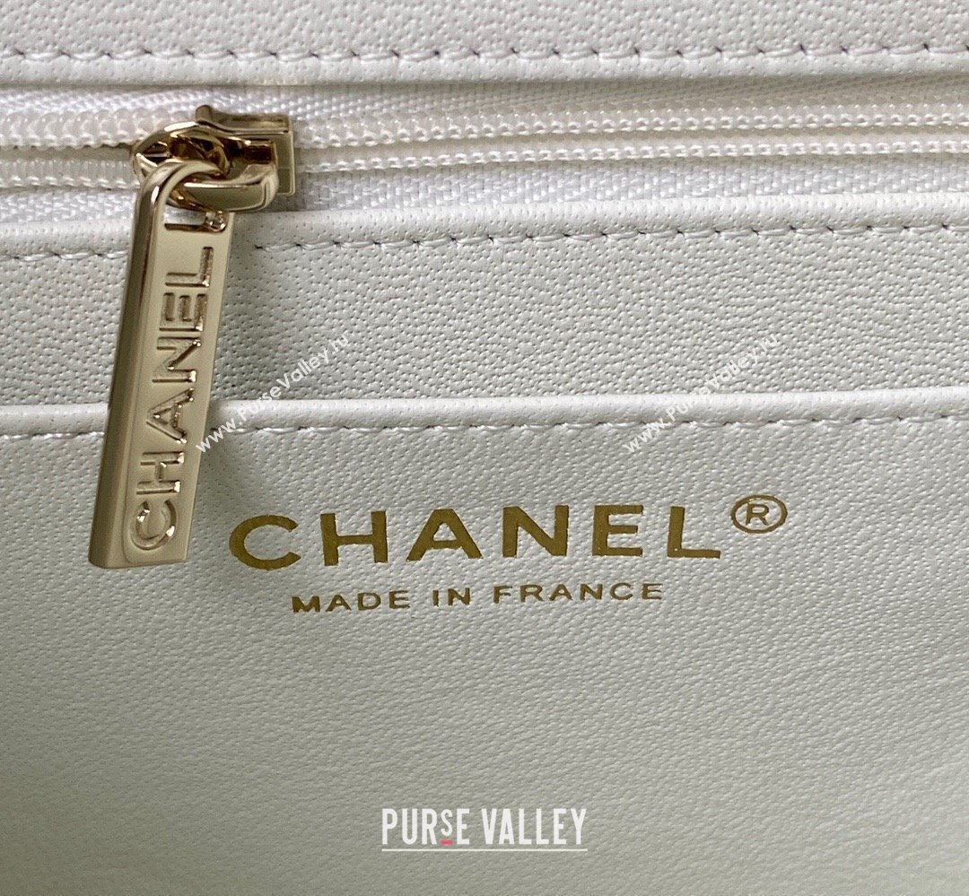 Chanel Quilted Shiny Calfskin & Gold-Tone Metal Small box Bag AS4470 White 2023 (jiyuan-23111619)